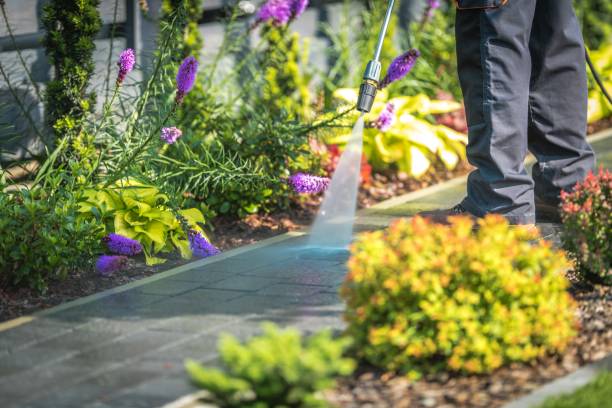 Best Dumpster Area Cleaning  in Minoa, NY