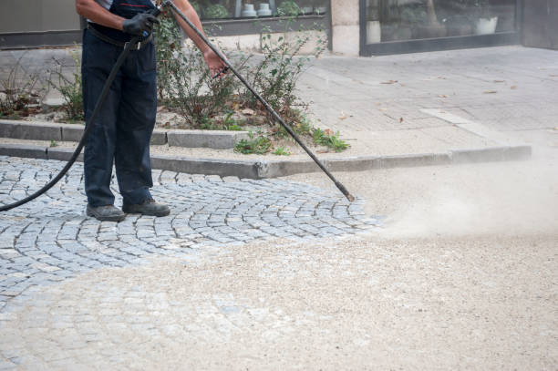 Best Pre-Holiday Cleaning  in Minoa, NY